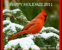Happy Holidaze